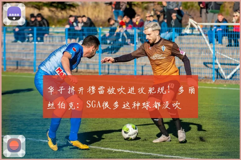 华子挤开穆雷被吹进攻犯规!多丽丝伯克:SGA很多这种球都没吹