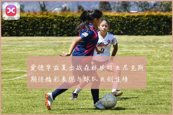 爱德华兹复出战森林狼对决尼克斯期待精彩表现与球队共创佳绩