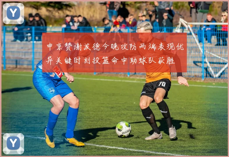 申京赞谢泼德今晚攻防两端表现优异关键时刻投篮命中助球队获胜